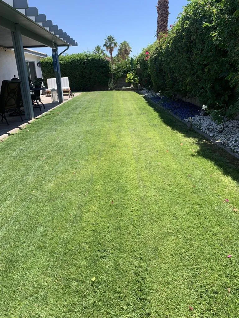 81059 Aurora Avenue, Indio, California 92201 home-pic-10